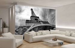Wide angle photo image of Eiffel tower - 221
