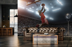 Basketball player Wall Mural - 14769