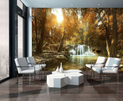Calm forest with small waterfall - 10470