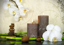 Orchids, stones and candles zen wall decor -13018