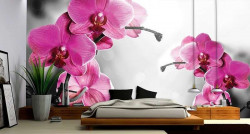 Pink blossomed twigs, relaxing wall mural -1034