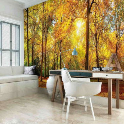 Sunny day in a beautiful forest wall mural - 13460