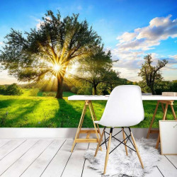 Tree in a summer garden wall mural - 13015