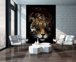 Wild panthera, animals wall posters - 10148A