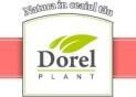 Dorel Plant