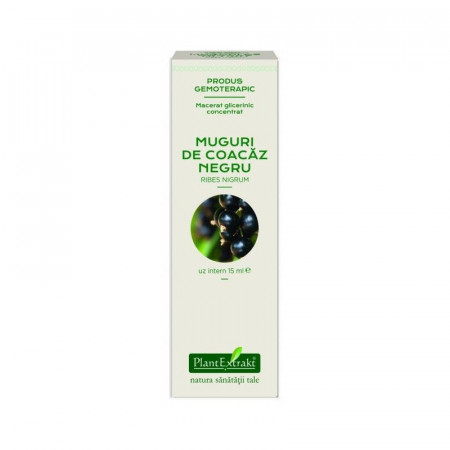 Extract din muguri de Coacaz Negru Plant Extrakt 15 ml