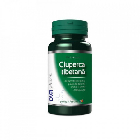 Ciuperca tibetana DVR Pharm 60 capsule