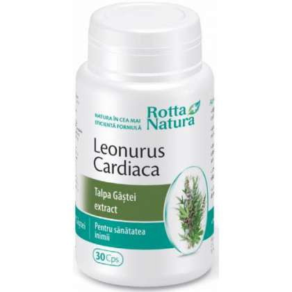 Leonurus cardiaca (Talpa Gastei) Rotta Natura 30 capsule