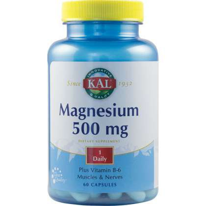 Magnesium 500 mg SECOM KAL 60 capsule