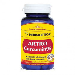 Artro Curcumin95 Herbagetica capsule
