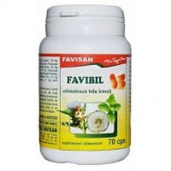 Favibil, 70 capsule, Favisan