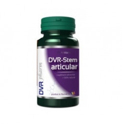Stem articular DVR Pharm 60 capsule