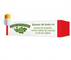 Balsam Buze Propolis Manicos 4.8 g