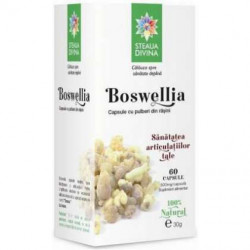 Boswellia Steaua Divina 60 capsule