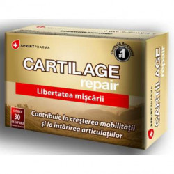 Cartilage Repair Sprint Pharma 30 capsule