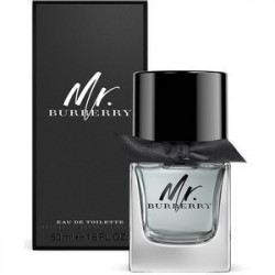 Burberry Mr. Burberry, Apa de Toaleta, Barbati