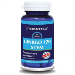 Ginkgo 120 Stem Herbagetica capsule