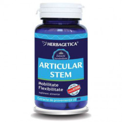 Articular Stem Herbagetica