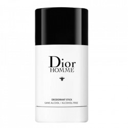 Deo Stick Dior Homme