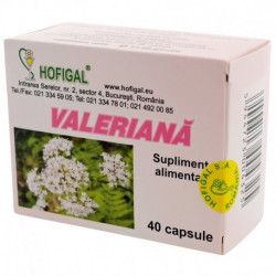 Valeriana Hofigal 40 capsule