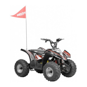 ATV cu acumulator pentru copii Hecht 54750