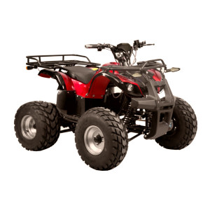 ATV Hecht 56152