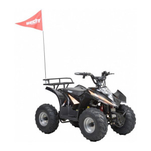 ATV cu acumulator pentru copii Hecht 54751