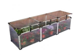 Sera Hecht Seedbed II