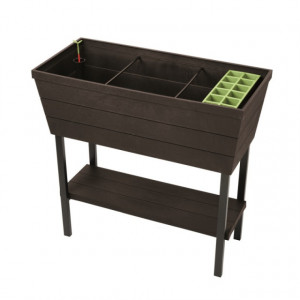 Rasadnita maro cu etajera Keter Urban Bloomer
