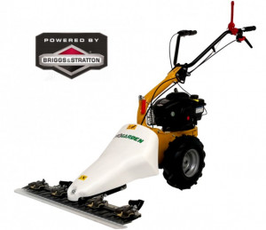 Motocositoare ProGarden M210 motor Briggs&Stratton