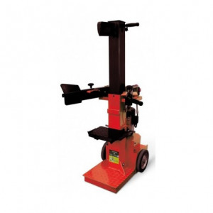 Despicator busteni Vega LV1010