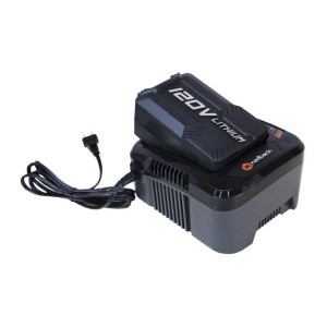 Acumulator Li-Ion Liforce Redback EA20 (2.0Ah/120V)