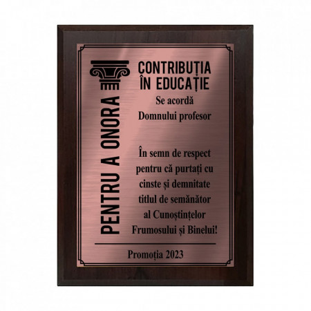 Placheta Diploma Bronz Profesor
