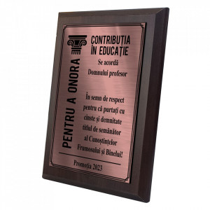 Placheta Diploma Bronz Profesor