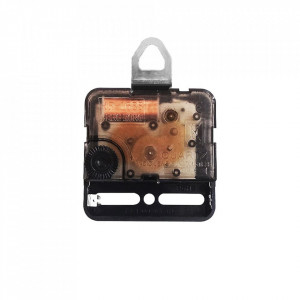CEAS PERSONALIZAT PENTRU NASI