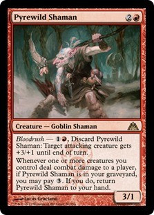 Pyrewild Shaman x4