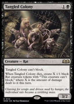 Tangled Colony