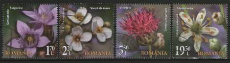 Romania 2021 - Flori din Rezervațiile Naționale, serie stampilata