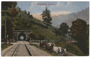 1917 - Busteni, tunelul (jud.Prahova)