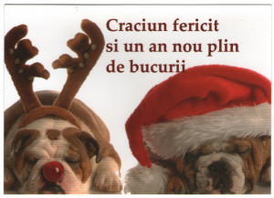 Craciun, carte postala, nou 4