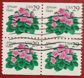 Statele Unite 1993 - Flori - Violet african, stampilata de 4