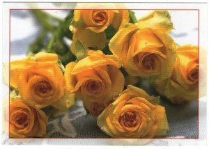 Flori, carte postala, nou 1