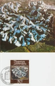 Liechtenstein 1981 - Lichen, Carte Maxima