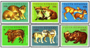 Romania 1972 - pui de animale sălbatice, serie neuzata
