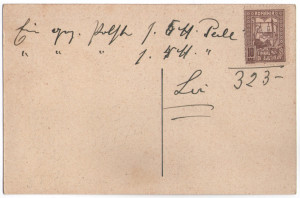 1916 - Sibiu, broderie sasesc in interiorul Bodenkredit-palais (jud. Sibiu)