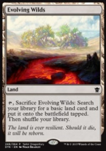 Evolving Wilds x4