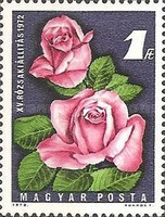 Ungaria 1972 - trandafir, neuzata