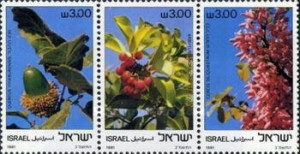 Israel 1981 - Copaci, serie neuzata cu tabs