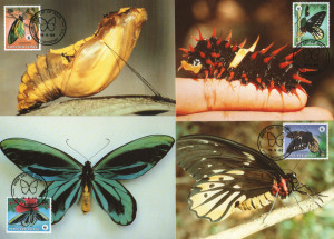 Papua New Guinea 1988 - fluturi, serie pe CM