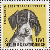 Austria 1966 - Prevenirea cruzimii față de animale, neuzata